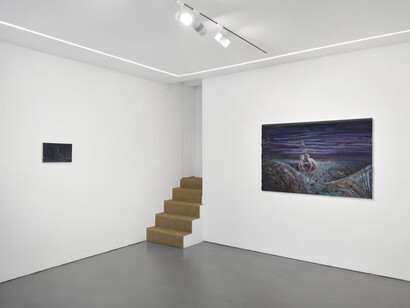 Timothy Lai, No swans, exhibition view. Courtesy of Josh Lilley Gallery 