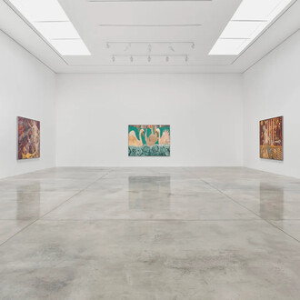 Tarwuk, Mit dem frosch zu schmusen, ist es unmöglich, exhibition view. Courtesy of White Cube