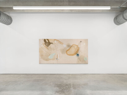 Eduardo Cardozo, Primero fue el gesto (First was the gesture), exhibition view. Courtesy of Mindy Solomon Gallery
