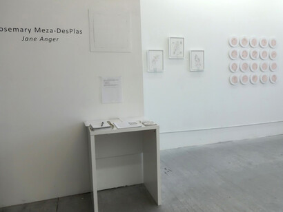 Rosemary Meza-DesPlas. Courtesy of Amos Eno Gallery