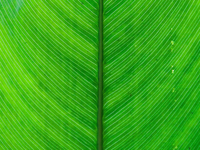 Perhaps global warming is a sobering awakening so long needed