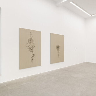 Clarissa Tossin, Piante vagabonde, veduta della mostra. Cortesia di kaufmann repetto