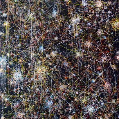 Kysa Johnson, blow up 264 - The long goodbye - subatomic decay patterns with star cluster NGC 6520, 2015. High Gloss Paint and Ink on Panel,
60 x 48 in, KJ_133

