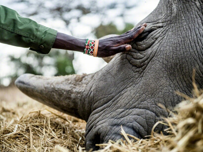 Justin Mott. Courtesy Anastasia Photo