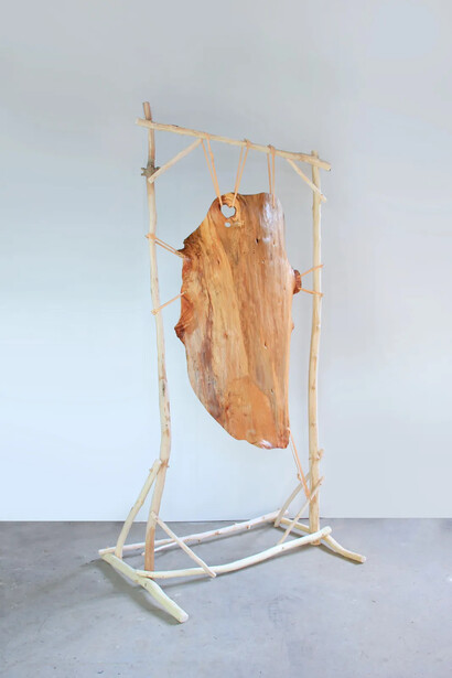 Lélia Demoisy, Cedrus deodora - La peau, 2025. Avec l'aimable autorisation de la Galerie By Lara Sedbon