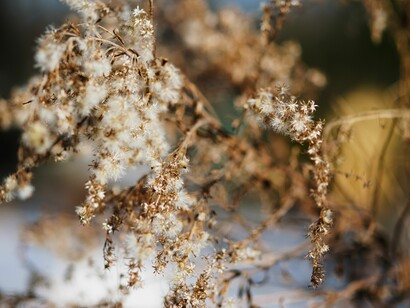 Infinite possibilità