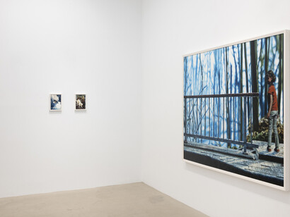 Philipp Fröhlich, La cavale, exhibition view. Courtesy of Galería Juan Silió