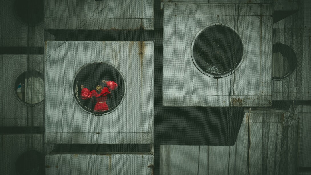 É possível controlar a sua vida na era distópica?