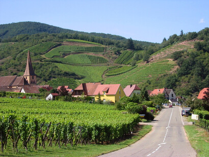 Vista del comune di Niedermorschwihr, situato nel dipartimento dell'Alto Reno nella regione del Grand Est, Francia