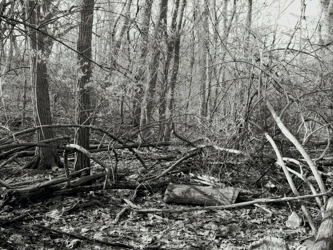 Lawrence Beck, exhibition view. Courtesy of ART 3 gallery