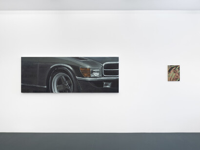 Issy Wood, Wet reckless, exhibition view. Courtesy of Michael Werner Gallery