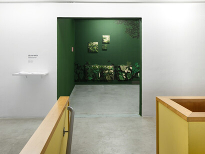 Fábio Baroli. Courtesy of Zipper Galeria