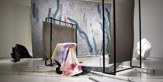 Merike Estna and Maria Metsalu Soft Scrub, Hard Body, Liquid Presence. Courtesy of Art in General 