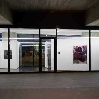 Ebun Sodipo, The Edge Sheen of a Cut, 2023, installation view, Vitrine Basel, photographer: Moritz Schermbach. Courtesy of Vitrine, Basel
