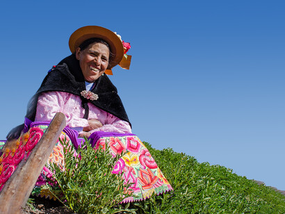 Trabajadora rural en un campo de papas en Ingenio, Perú