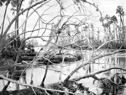 This is climate change. Courtesy of Southeast Museum of Photography