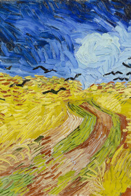 Campo com flores perto de Arles, de Van Gogh. O pintor estava particularmente interessado na expressão visual das emoções e ideias através da natureza