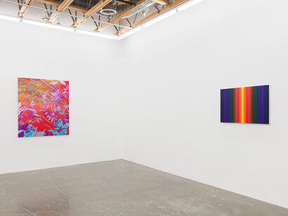 Various artists, Coping with paradise, exhibition view. Courtesy of Ochi Projects