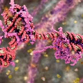 The Future Starts Here. Courtesy of ArkDes