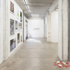 Pierre Descamps, Tanritsions, vista de exhibición. Cortesía de The Goma