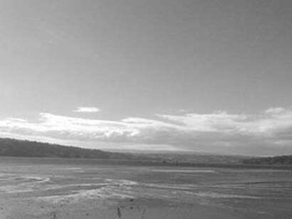 Arquitecto intermareal, es aquel que practica la arquitectura en los umbrales móviles entre tierra y agua, norma y excepción, presencia y ausencia. Bajada de marea, Chiloé, Chile