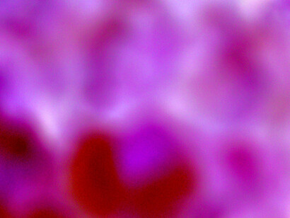  Kleoniki Vanos, Universal Loving Kindness 500 x 500  