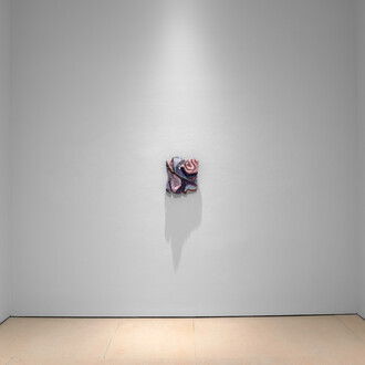 Henrique Oliveira, London works, exhibition view. Courtesy of McClain Gallery