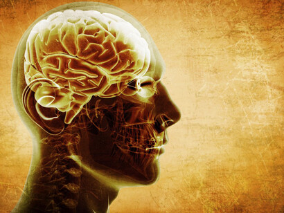 Il ruolo dei carboidrati nella crescita del cervello