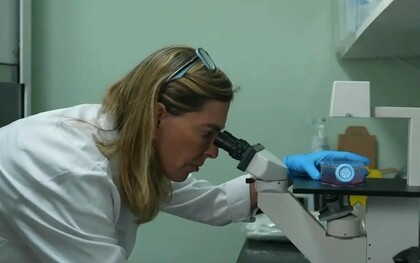 Tatiana Coelho de Sampaio. Criada a partir de proteínas extraídas da placenta humana, a polilaminina pode ser aplicada diretamente na área lesionada da medula espinhal, promovendo a regeneração dos circuitos nervosos e a recuperação das funções motoras anteriormente comprometidas