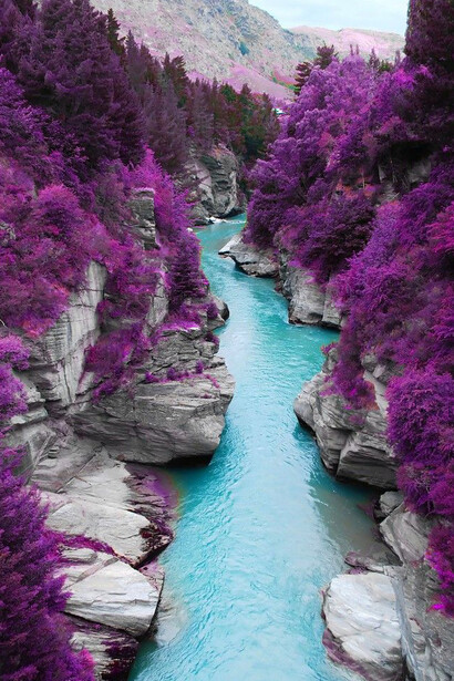 Rio com flores roxas 