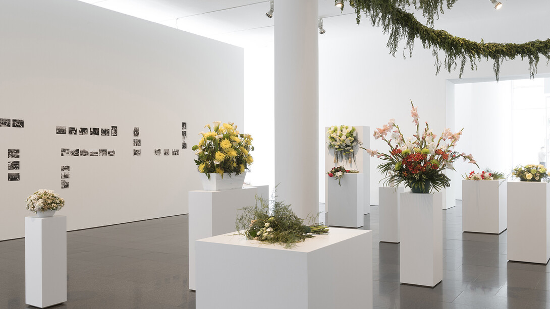 Undefined Territories. Courtesy of Museu d’Art Contemporani de Barcelona (MACBA)