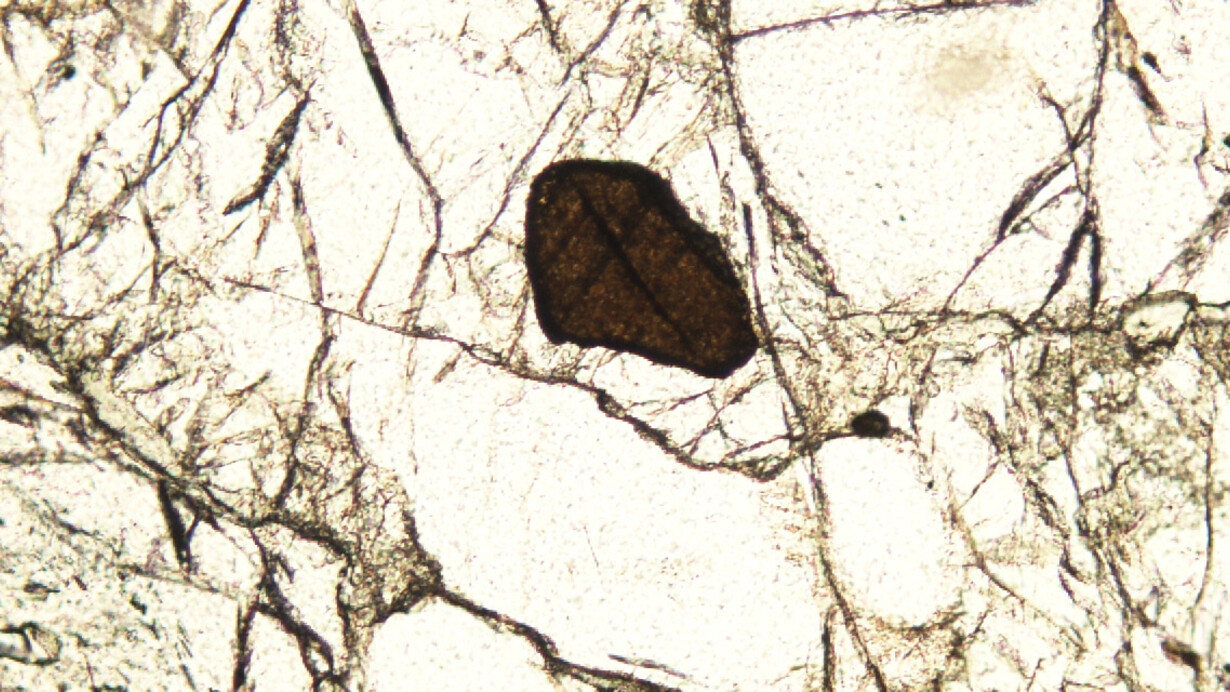 Petrology Collection. Courtesy of Sedgwick Museum of Earth Sciences

