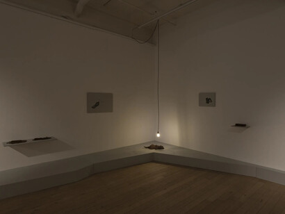 Amol K Patil, The shadow of lustre, exhibition view. Courtesy of Galerie Peter Kilchmann