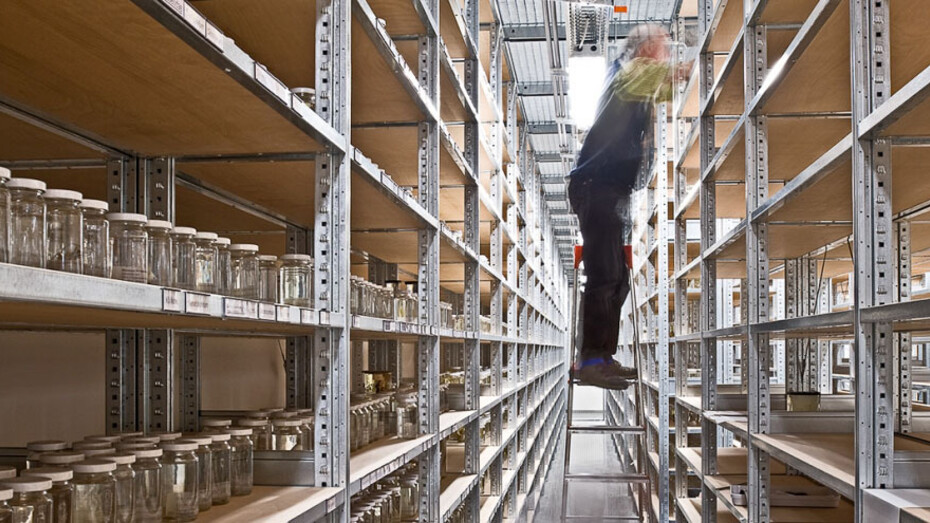 The Wet Collections. Courtesy of Museum für Naturkunde