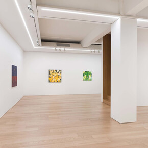 Various artists, Sublime simulacra, exhibition view. Courtesy of Lehmann Maupin 