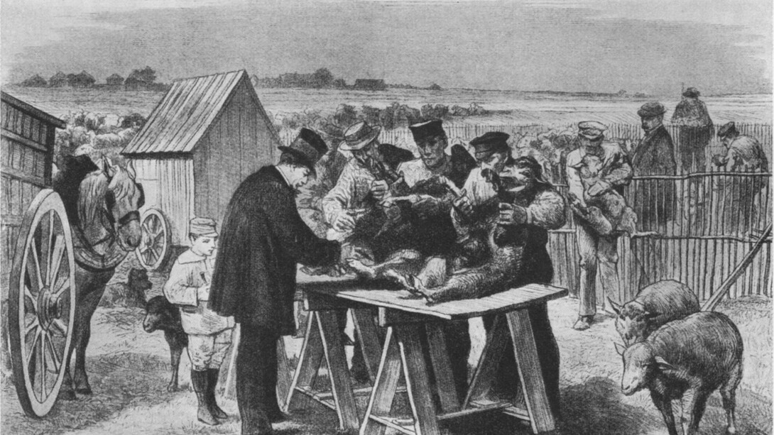 Dibujo que ilustra el famoso episodio de Pasteur en Pouilly-le-Fort