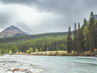 Percorso di crescita interiore. Cos’è la mindfulness? Una strada