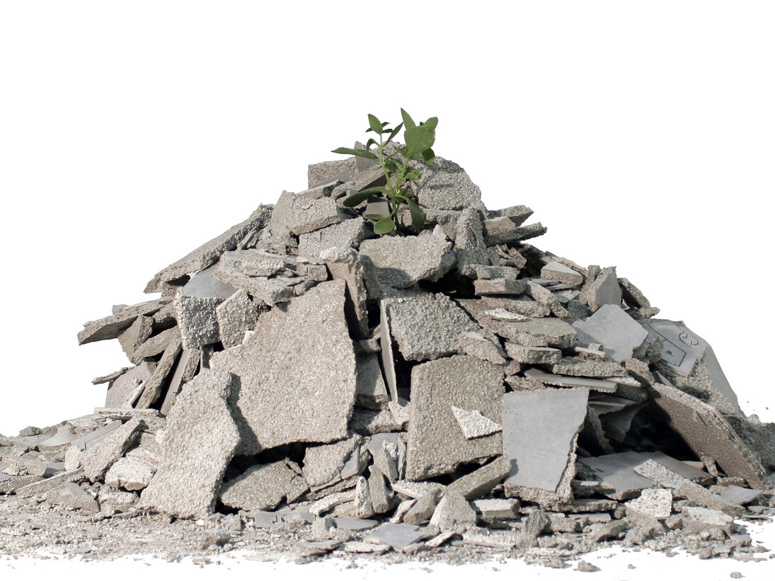Andrea Francolino, Performance of plant, 2014, waste of works and plant, born between concrete, variable measures