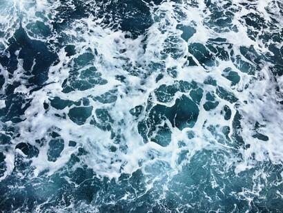 A bordo della nave da ricerca Falkor gli scienziati hanno scoperto trenta nuove specie marine
