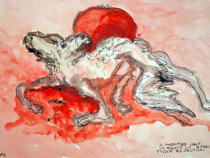 Milan Todorovic, Calf 