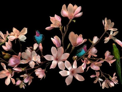 Allan Forsyth, Magnolia Angelic, 2011, C-Type metallic print, Diasec, Edition of 25, 228 x 76 cm, © Allan Forsyth. Courtesy the artist
