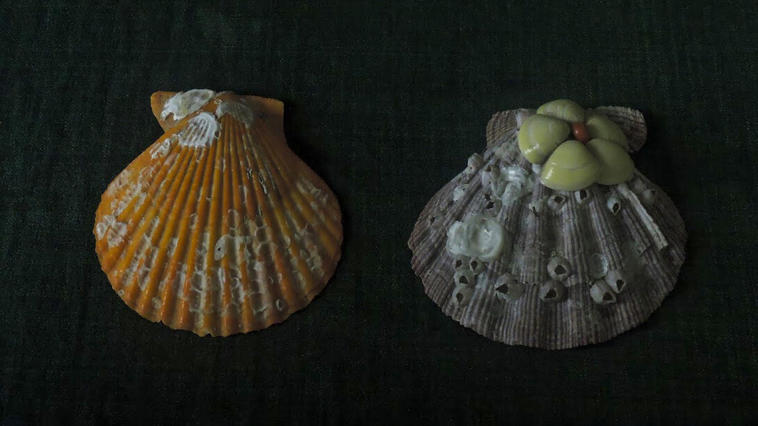 Ilha Grande, una isla paradisíaca en Brasil, pasó de ser una prisión de alta seguridad a un destino turístico enfocado en la sostenibilidad y la conservación ambiental