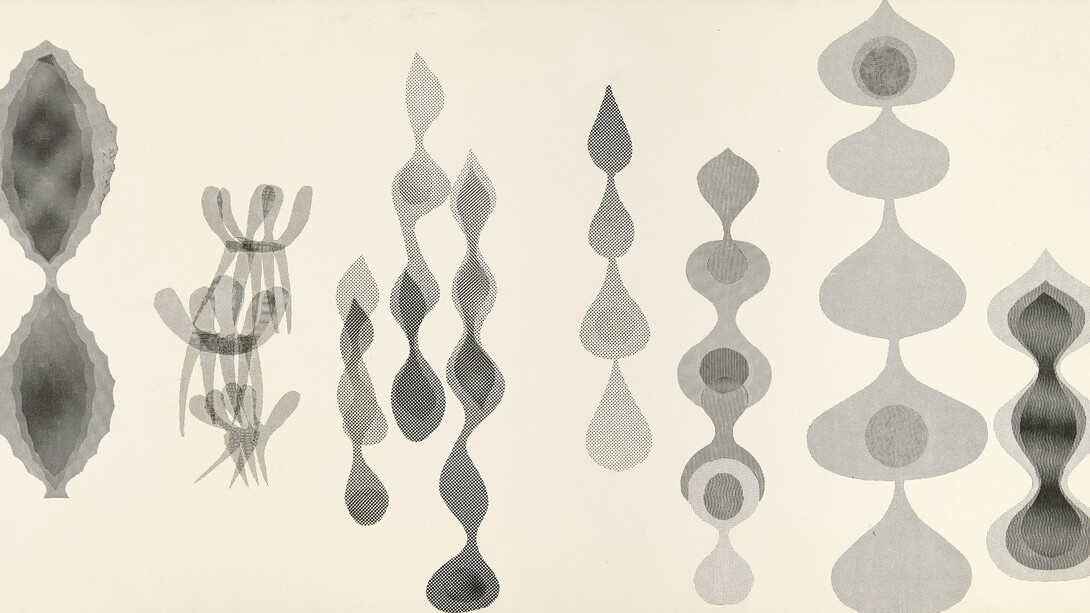 Ruth Asawa, Sin título (ZP.16B, Doce formas escultóricas de alambre en bucle) [Untitled (ZP.16B, Twelve looped-wire sculptural forms)] (detalle), ca. mediados–finales de la década de 1950. Cortesía del Museo Guggenheim Bilbao 