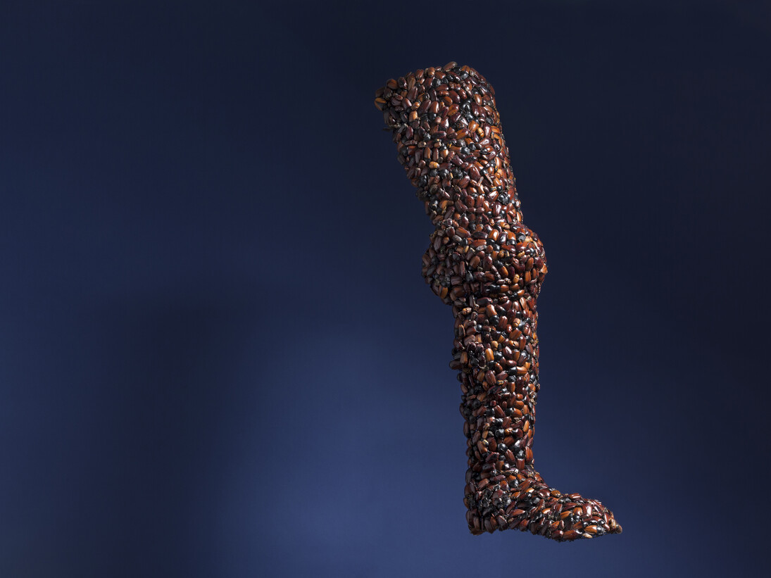 Jan Fabre, Armour (Leg), 1997, beetles on iron wire, 81 x 29 x 21cm. Photo Claudio Abate, courtesy the artist and Ronchini Gallery