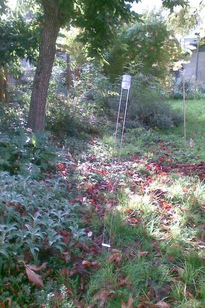 Tappezzanti sotto il kaki