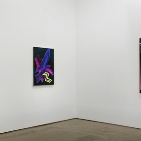 Shane Walsh. Courtesy of Asya Geisberg Gallery 