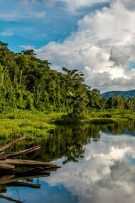 Manu National Park, Peru