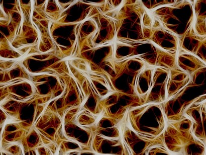 Las neuronas reciben, procesan y transmiten información a través de señales químicas y eléctricas gracias a la excitabilidad eléctrica de su membrana plasmática