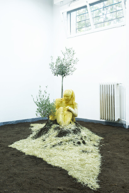 Nawras Shalhoub