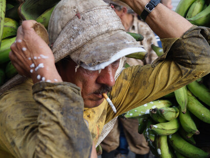 Plantación de bananos en Sudamérica